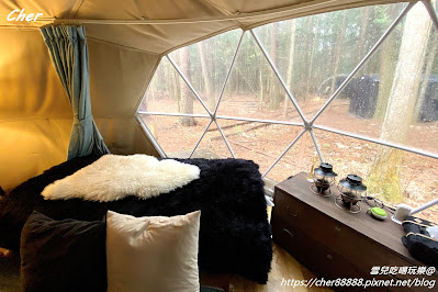 「體驗」河口湖森林系豪華露營Glamping Hanz PA