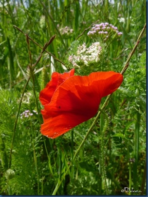 P1080069