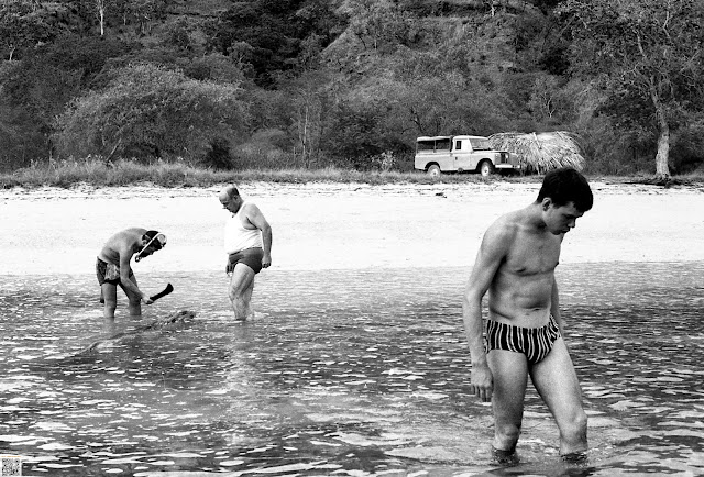 Durante a apanha de ostras, algo maior apareceu?   Em Timor Lorosae na segunda metade da década de 1960.   MMG_N_AX_024 Fotografia de Manuel Augusto Martins Gomes. Não usar fotografia sem referência ao seu autor Manuel Augusto Martins Gomes e sem link para as páginas:  Beacons: https://beacons.ai/manuelamartinsgomesmemorias Blogger: https://manuelamartinsgomes.blogspot.com/ Instagram: @manuelamartinsgomesmemorias Toda a informação adicional é bem vinda. Poderão contactar-me através do endereço de email: manuelamgomes20@gmail.com #timorleste #dili #oister #bnwbeach #timorbeach #travelphotography #manuelamartinsgomesmemorias