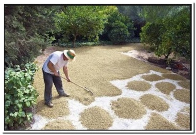 Best Gravel For Patio Base Material 