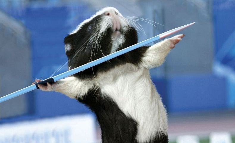 guinea-pig-games-0