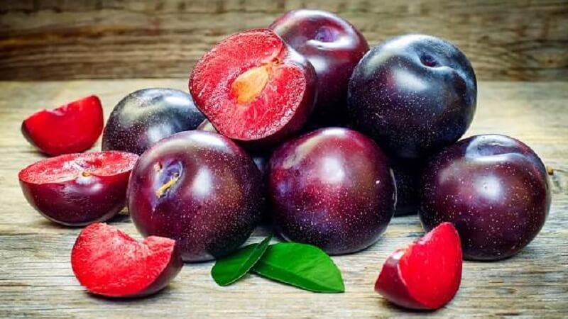 manfaat buah plum bagi kesehatan