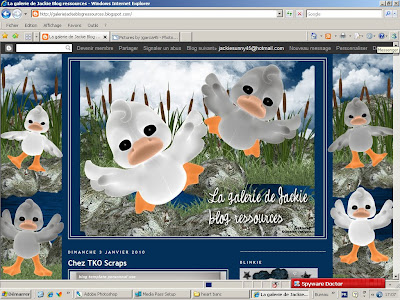 http://galeriejackieblogressources.blogspot.com/2010/01/blog-template-canards-free-gratuit.html