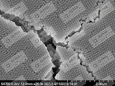 silica nanoparticles