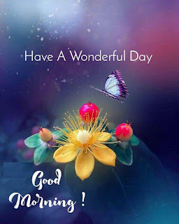 Good Morning  Wishes pics free download