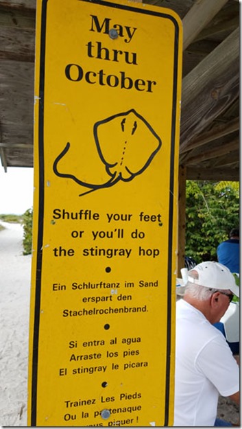 Stingray shuffle