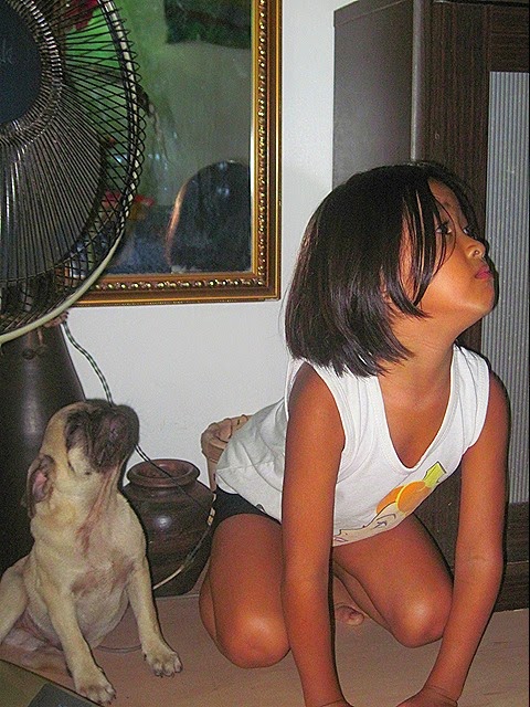 IMG_3087 IMG_3087
