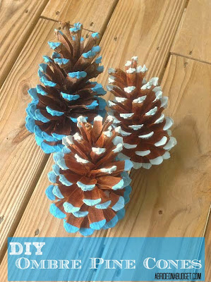  diy ombre painted pine cones