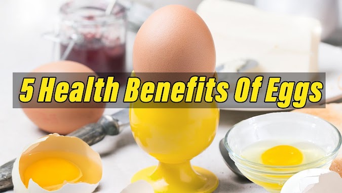 Health Benefits Of Eating Eggs Everyday |  Egg Benefits