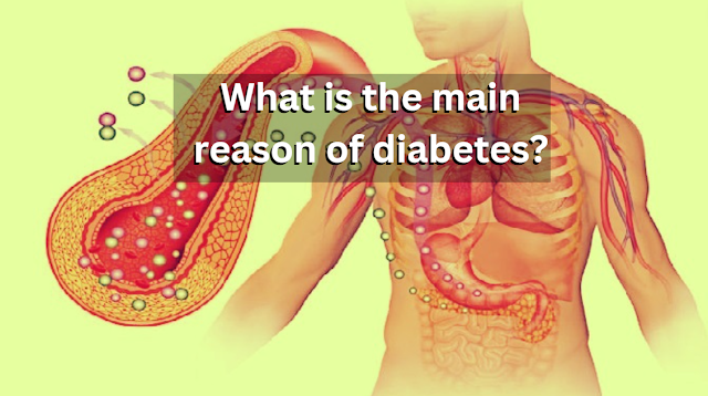 What is the main reason of diabetes?