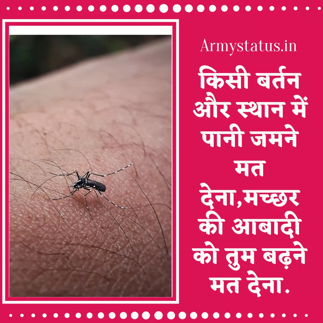 World Mosquito Day Quotes, Mosquito Status Images, Happy Mosquito Day Wishes & Best Lines, Mosquito Slogan, Mosquito Quotes, Mosquito Status Images, Mosquito Day Wishes, Mosquito Day Best Lines, Mosquito Slogan & Caption, Mosquito Quotes