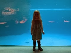 IMG_4851