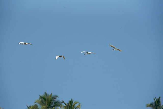 மணல் கொள்ளை நதி நீர் இந்தியா கர்நாடகா