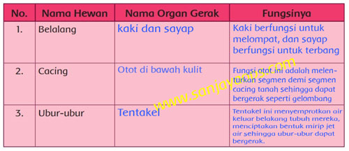 Kunci Jawaban Tematik Kelas 5 Tema 1 Halaman 41 42 43 