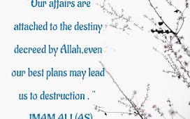 Destiny decreed by Allah