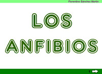 http://cplosangeles.juntaextremadura.net/web/cuarto_curso/naturales_4/anfibios_4/anfibios_4.html