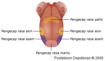 12 Fakta atas Kebohongan Ini Pernah Diajarkan di Sekolah, Duhhh...