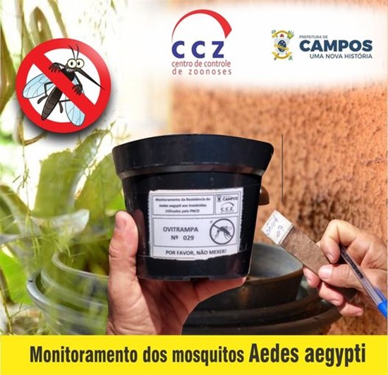 CCZ: Armadilhas contra o mosquito aedes aegypti são colocadas em Boa Vista e no Braga
