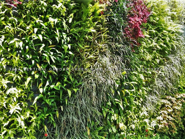 32 Gambar Desain Taman Vertikal (Vertical Garden). Taman Vertikal (tentang-tanaman) di ketahui sebagai vertical garden atau mungkin green wall living wall, Temukan gambar vertikal garden dinding hijau contoh taman vertical garden berkualitas tinggi, Cari dari 32 gambar Taman Vertikal teratas dan tidak akan anda temukan foto stok berkualitas tinggi yang tidak akan anda temukan di tempat lain, roof garden murah, roof garden design, roof garden minimalis, roof garden sederhana, roof garden detail, roof garden medan, roof garden semarang, drainasecell roof garden, versicel roof garden, roof garden indonesia, roof garden jakarta, roof garden system, roof garden, roof garden adalah, drainasecell, versicell, alat roof garden, cara membuat roof garden, peralatan roof garden, roof top, top roof garden, taman dak atas, cara membuat taman dak, taman atap roof garden, taman roof garden, roof garden apartment, tukang taman vertikal, vertikal garden murah, vertikal garden sederhana, vertikal garden jakarta, tukang taman vertical, vertical garden murah, vertical garden sederhana, vertical garden jakarta, tukang taman vertikal di cibubur, tukang taman vertikal bintaro, tukang taman vertikal tangerang, tukang taman vertikal jakarta, tukang taman vertikal serpong, tukang taman vertikal jakarta , tukang taman vertikal bekasi, tukang taman vertikal di bintaro, tukang taman vertikal semarang, tukang taman vertikal pekalongan, tukang taman vertikal batang, tukang, taman vertikal cirebon, tukang taman vertikal karawang, tukang taman vertikal surabaya, tukang taman vertikal solo, tukang taman vertikal yogyakarta, tukang taman vertikal bali, tukang taman vertikal medan, tukang taman vertikal batam, tukang taman vertikal jakarta timur, tukang taman vertikal jakarta pusat, tukang taman vertikal jakarta selatan, tukang taman vertikal jakarta barat, tukang taman vertikal jakarta utara, tukang taman vertikal tangerang, tukang taman vertikal serpong, tukang taman vertikal perumahan, tukang taman vertikal murah, tukang taman vertikal kalimantan, tukang taman vertikal makssar, tukang taman vertikal papua, tukang taman vertikal lombok tukang taman murah di bogor, tukang taman cibubur murah, tukang taman murah di cibubur, tukang taman murah bintaro, tukang taman murah tangerang, tukang taman murah jakarta, tukang taman murah serpong, tukang taman murah jakarta , tukang taman murah bekasi, tukang taman murah di bintaro, tukang taman murah di bogor, tukang taman cibubur murah, jasa tukang taman murah, tukang taman murah meriah, tukang taman minimalis murah, tukang rumput taman murah,tukang taman minimalis tangerang, tukang taman minimalis jakarta, tukang taman rumah minimalis, tukang taman minimalistaman vertikal sederhana, taman vertikal paralon, taman vertikal jakarta, taman vertikal pdf, taman vertikal dari botol bekas, taman vertikal murah, taman vertikal rumah minimalis, taman vertikal adalah, taman vertikal dalam rumah, taman vertikal, taman vertikal minimalis, taman vertikal anggrek, taman vertikal botol, taman vertikal di bandung, taman vertikal menggunakan botol bekas, taman vertikal dari batu bata, biaya taman vertikal, buat taman vertikal, contoh taman vertikal, cara taman vertikal, contoh taman vertikal garden, taman vertikal di rumah, taman vertikal di lahan sempit, taman vertikal di dinding, taman vertikal dinding, taman vertikal dengan paralon, taman vertikal depok, fungsi taman vertikal, foto taman vertikal, taman vertikal garden, taman gantung vertikal, gambar taman vertikal minimalis, cara membuat taman vertikal garden, gambar taman vertikal, griya taman vertikal, desain taman vertikal garden, taman vertikal hidroponik, taman vertikal harga, harga taman vertikal murah, taman vertikal indonesia, taman vertikal indoor taman vertikal italia, ide taman vertikal, vertical gardens, vertical gardening, wall garden, green wall, vertical gardening systems, wall planter, indoor vertical planter, planter, wall planters, green walls, greenwall, garden walls, plant wall, wall planters indoor, wall planters for outdoors, vertical blinds, vertical line, vertical farming, vertical integration, vertical angles, vertical radiators, vertical meaning, define vertical,