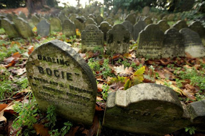 Pet Cemetery in Central London Seen On www.coolpicturegallery.us