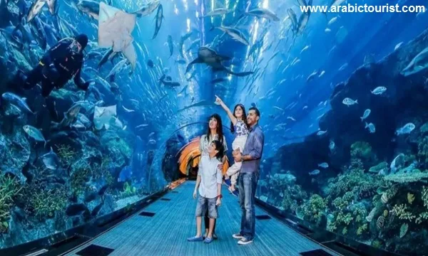 Weekend family destinations for entertainment lovers in Dubai