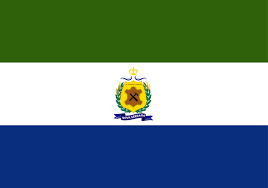 Bandeira de Nova Serrana - MG