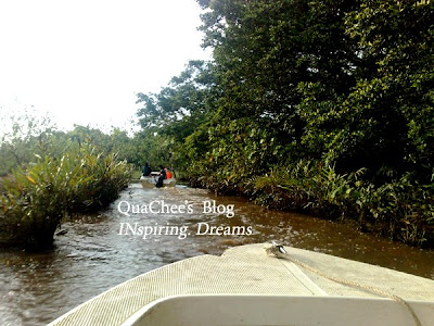 proboscis monkey tour sabah river cruise