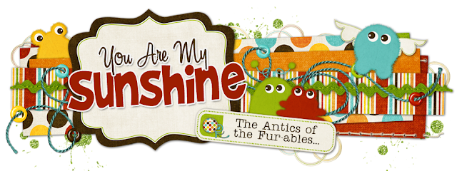 You are my Sunshine Blog Design