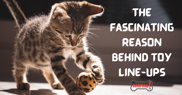 The Fascinating Reason Behind Toy Line-Ups