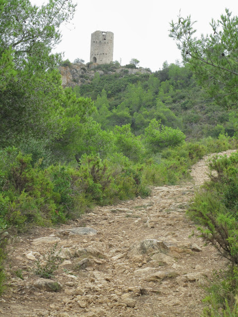 Montferri-Torre de Montferri-Tossa Grossa de Montferri, Torre del Moro o de Montferri