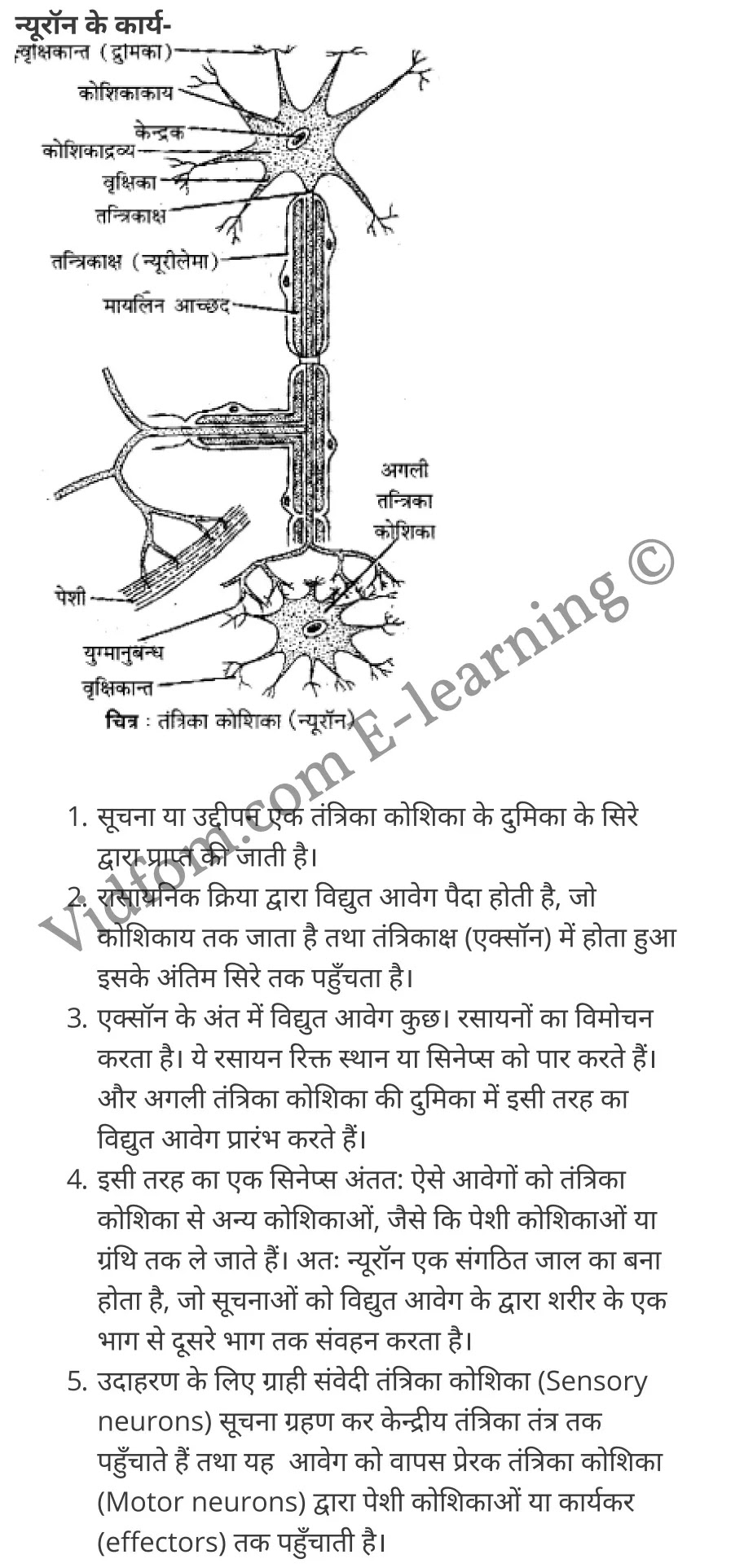 कक्षा 10 विज्ञान  के नोट्स  हिंदी में एनसीईआरटी समाधान,     class 10 Science chapter 7,   class 10 Science chapter 7 ncert solutions in Science,  class 10 Science chapter 7 notes in hindi,   class 10 Science chapter 7 question answer,   class 10 Science chapter 7 notes,   class 10 Science chapter 7 class 10 Science  chapter 7 in  hindi,    class 10 Science chapter 7 important questions in  hindi,   class 10 Science hindi  chapter 7 notes in hindi,   class 10 Science  chapter 7 test,   class 10 Science  chapter 7 class 10 Science  chapter 7 pdf,   class 10 Science  chapter 7 notes pdf,   class 10 Science  chapter 7 exercise solutions,  class 10 Science  chapter 7,  class 10 Science  chapter 7 notes study rankers,  class 10 Science  chapter 7 notes,   class 10 Science hindi  chapter 7 notes,    class 10 Science   chapter 7  class 10  notes pdf,  class 10 Science  chapter 7 class 10  notes  ncert,  class 10 Science  chapter 7 class 10 pdf,   class 10 Science  chapter 7  book,   class 10 Science  chapter 7 quiz class 10  ,    10  th class 10 Science chapter 7  book up board,   up board 10  th class 10 Science chapter 7 notes,  class 10 Science,   class 10 Science ncert solutions in Science,   class 10 Science notes in hindi,   class 10 Science question answer,   class 10 Science notes,  class 10 Science class 10 Science  chapter 7 in  hindi,    class 10 Science important questions in  hindi,   class 10 Science notes in hindi,    class 10 Science test,  class 10 Science class 10 Science  chapter 7 pdf,   class 10 Science notes pdf,   class 10 Science exercise solutions,   class 10 Science,  class 10 Science notes study rankers,   class 10 Science notes,  class 10 Science notes,   class 10 Science  class 10  notes pdf,   class 10 Science class 10  notes  ncert,   class 10 Science class 10 pdf,   class 10 Science  book,  class 10 Science quiz class 10  ,  10  th class 10 Science    book up board,    up board 10  th class 10 Science notes,      कक्षा 10 विज्ञान अध्याय 7 ,  कक्षा 10 विज्ञान, कक्षा 10 विज्ञान अध्याय 7  के नोट्स हिंदी में,  कक्षा 10 का विज्ञान अध्याय 7 का प्रश्न उत्तर,  कक्षा 10 विज्ञान अध्याय 7  के नोट्स,  10 कक्षा विज्ञान  हिंदी में, कक्षा 10 विज्ञान अध्याय 7  हिंदी में,  कक्षा 10 विज्ञान अध्याय 7  महत्वपूर्ण प्रश्न हिंदी में, कक्षा 10   हिंदी के नोट्स  हिंदी में, विज्ञान हिंदी में  कक्षा 10 नोट्स pdf,    विज्ञान हिंदी में  कक्षा 10 नोट्स 2021 ncert,  विज्ञान हिंदी  कक्षा 10 pdf,   विज्ञान हिंदी में  पुस्तक,   विज्ञान हिंदी में की बुक,   विज्ञान हिंदी में  प्रश्नोत्तरी class 10 ,  10   वीं विज्ञान  पुस्तक up board,   बिहार बोर्ड 10  पुस्तक वीं विज्ञान नोट्स,    विज्ञान  कक्षा 10 नोट्स 2021 ncert,   विज्ञान  कक्षा 10 pdf,   विज्ञान  पुस्तक,   विज्ञान की बुक,   विज्ञान  प्रश्नोत्तरी class 10,   कक्षा 10 विज्ञान,  कक्षा 10 विज्ञान  के नोट्स हिंदी में,  कक्षा 10 का विज्ञान का प्रश्न उत्तर,  कक्षा 10 विज्ञान  के नोट्स, 10 कक्षा विज्ञान 2021  हिंदी में, कक्षा 10 विज्ञान  हिंदी में, कक्षा 10 विज्ञान  महत्वपूर्ण प्रश्न हिंदी में, कक्षा 10 विज्ञान  हिंदी के नोट्स  हिंदी में, विज्ञान हिंदी  कक्षा 10 नोट्स pdf,   विज्ञान हिंदी  कक्षा 10 नोट्स 2021 ncert,   विज्ञान हिंदी  कक्षा 10 pdf,  विज्ञान हिंदी  पुस्तक,   विज्ञान हिंदी की बुक,   विज्ञान हिंदी  प्रश्नोत्तरी class 10 ,  10   वीं विज्ञान  पुस्तक up board,  बिहार बोर्ड 10  पुस्तक वीं विज्ञान नोट्स,    विज्ञान  कक्षा 10 नोट्स 2021 ncert,  विज्ञान  कक्षा 10 pdf,   विज्ञान  पुस्तक,  विज्ञान की बुक,   विज्ञान  प्रश्नोत्तरी   class 10,   10th Science   book in hindi, 10th Science notes in hindi, cbse books for class 10  , cbse books in hindi, cbse ncert books, class 10   Science   notes in hindi,  class 10 Science hindi ncert solutions, Science 2020, Science  2021,