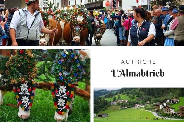 autriche tyrol zillertal zell am ziller almabtrieb