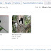 Utilizing Your Picasa Web Albums Features