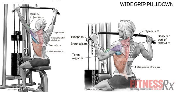 Lateral Pull-Down: