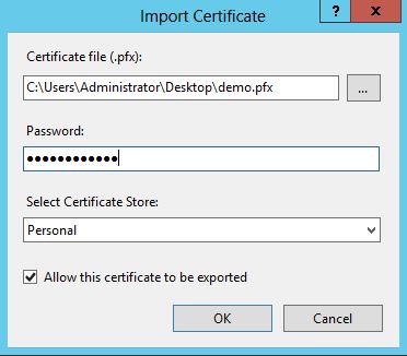 Import Certificate Window 1