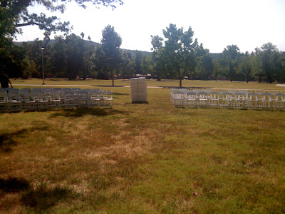 Jules Design built this beautiful wedding arch that included yellow Gerber 