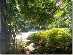 DSCN5131