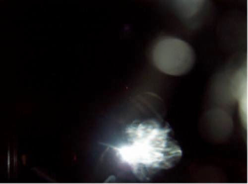 The Shell Energy Allows Each Spirit To Cast A Certain Look
