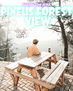 Duduk-Duduk Santai Pineus Forest View Cirorek Cilawu Tasikmalaya Jawa Barat