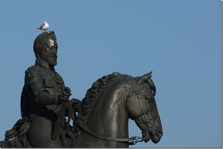 paris Henri IV with bird 111818 00000