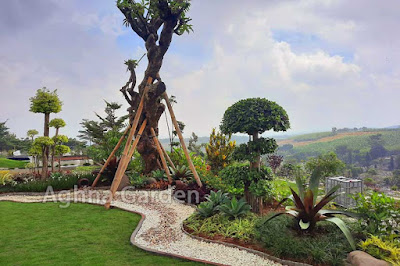 gambar taman bonsai depan rumah