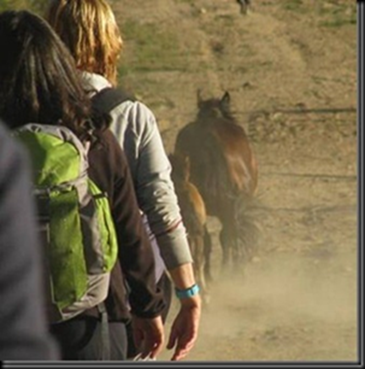 image_thumb6_thumb_thumb13_thumb_thu[2]