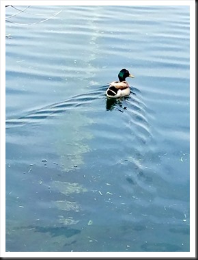 20180510_20180510_105149
