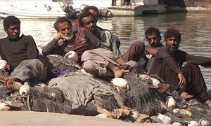 Pescadores paquistaneses relacionados com insurgentes de Cabo Delgado