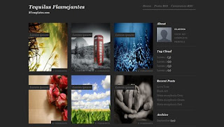 Tequilas Flamejantes BLogger Template