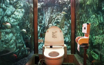 Funny Toilets With a Great View