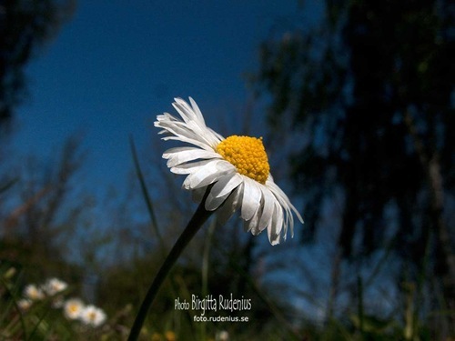 macro_20110506_grodpersp
