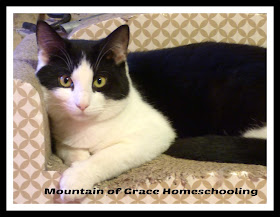 Mountain of Grace Homeschooling