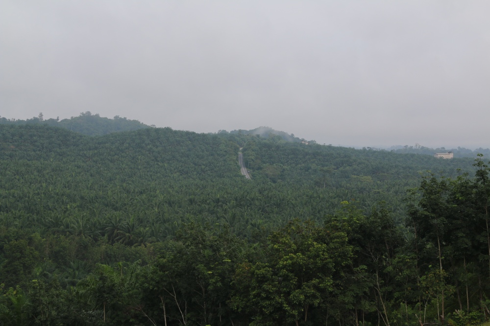 Road ahead