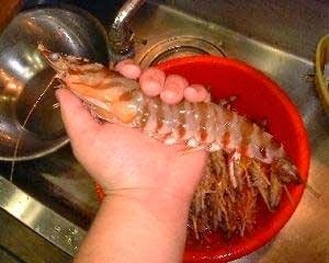 http://www.navhindtimes.in/indian-shrimp-exports-to-touch-rs27151-cr-by-2017/